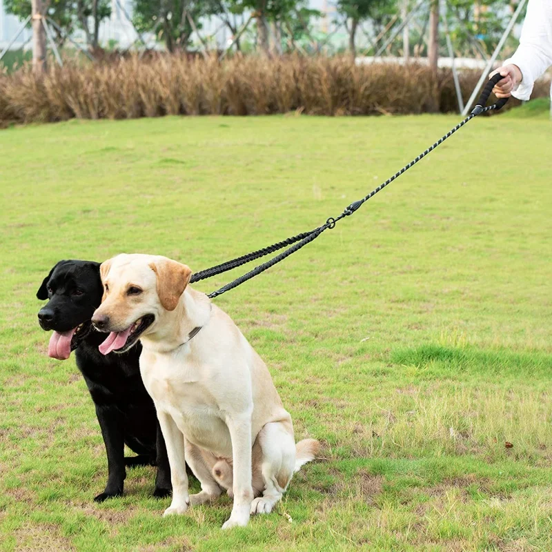 Correa lista para el día a día con dos perros