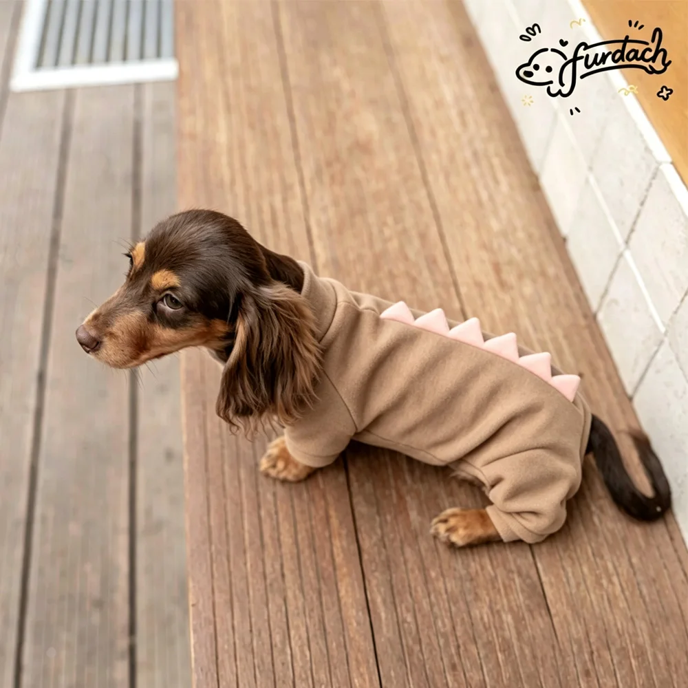 Abrigo cálido para paseos de invierno