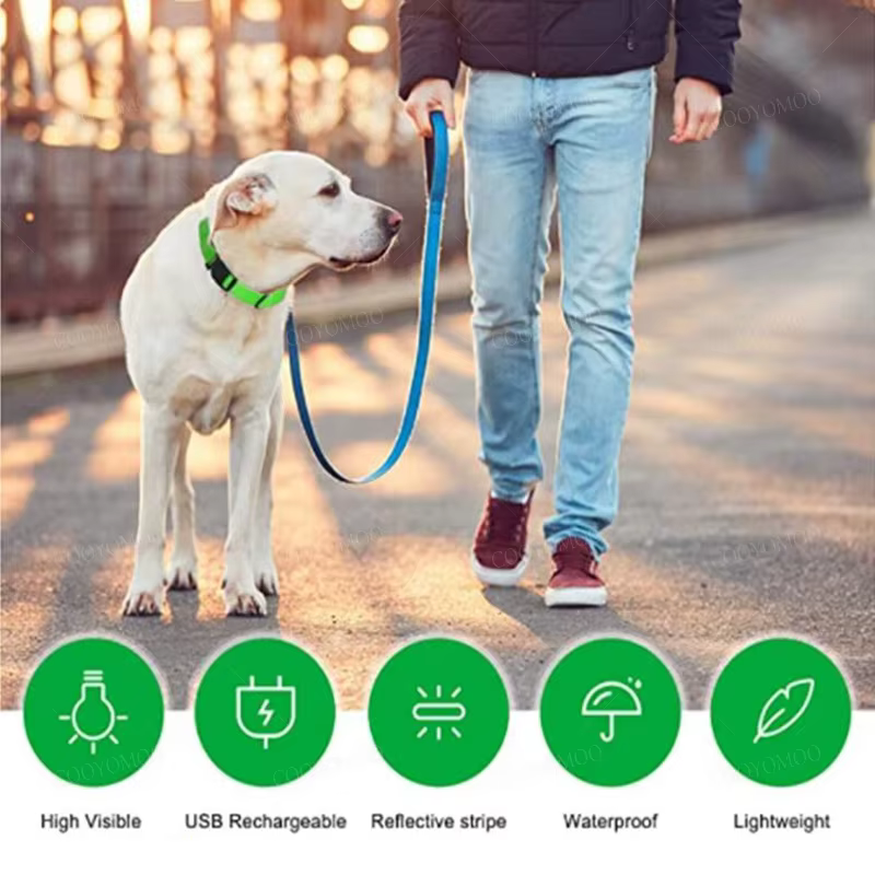 Collar LED luminoso para perros y gatos con luz nocturna USB - imagen 4