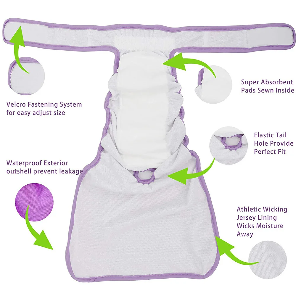 Pañales lavables para perras en celo – Reutilizables y cómodos - imagen 3