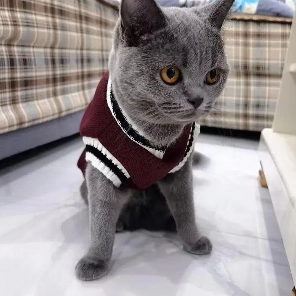 Chaqueta para gatos Holapet