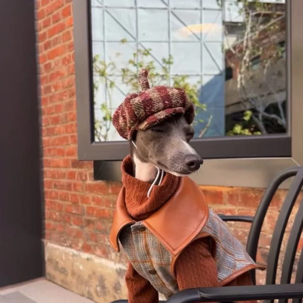 Perro italiano posando para foto exterior con el sombrero a cuadros