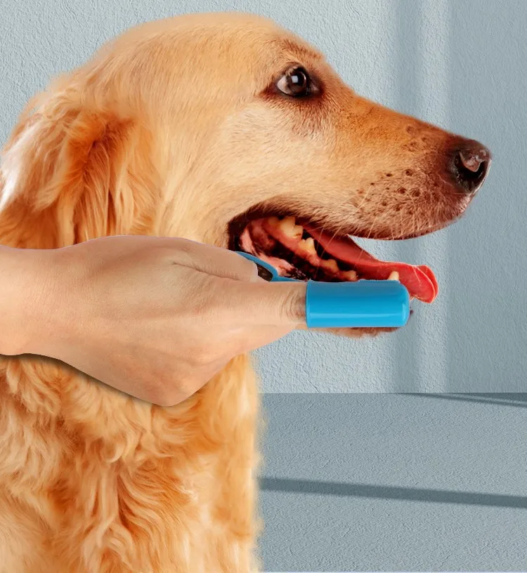 Tres cepillos para diferentes mascotas