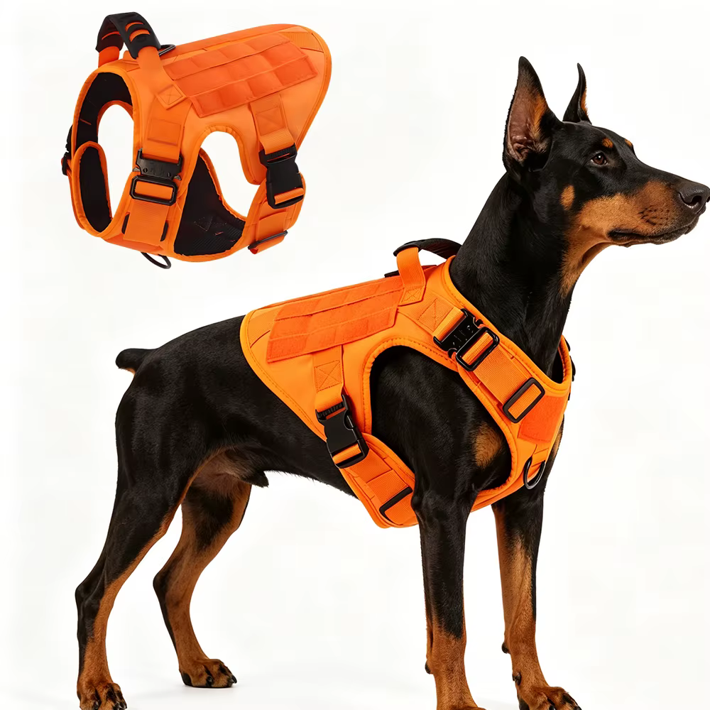 Arnés antitirones con sistema MOLLE para perro mediano y grande - imagen 4