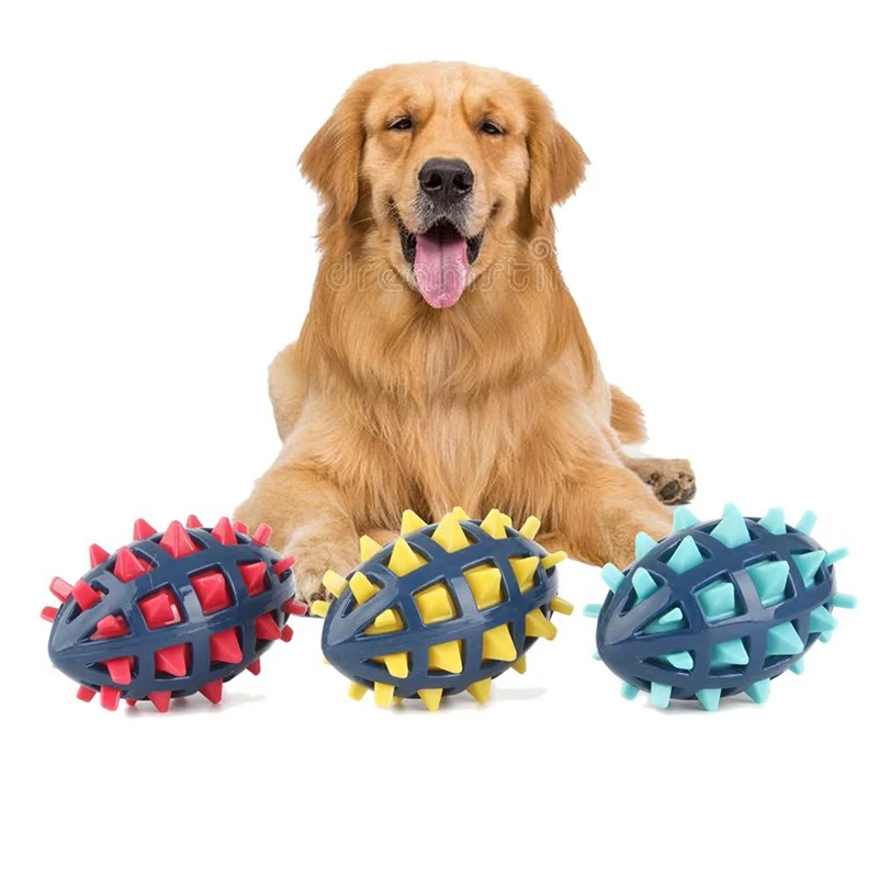 Tamaño y proporciones del rugby canino