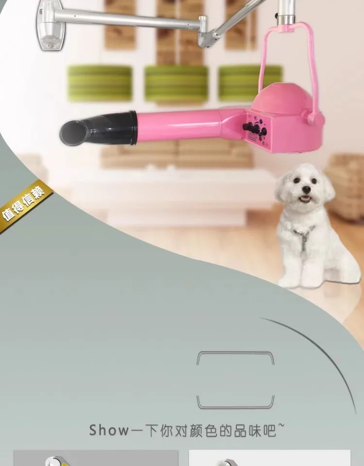 Sesión de grooming canino