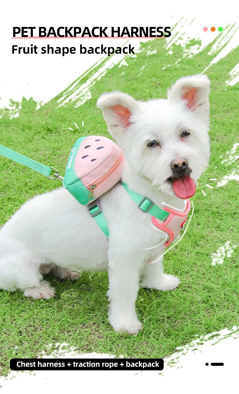 Conjunto de correa para pecho con mochila de frutas para mascotas