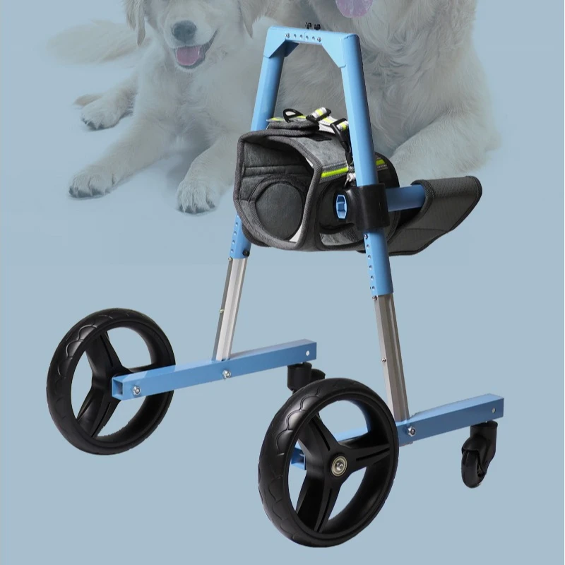 Perro usando la silla de ruedas en un parque con hierba