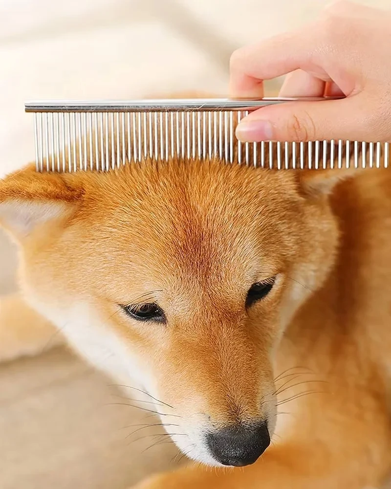 Mango ergonómico