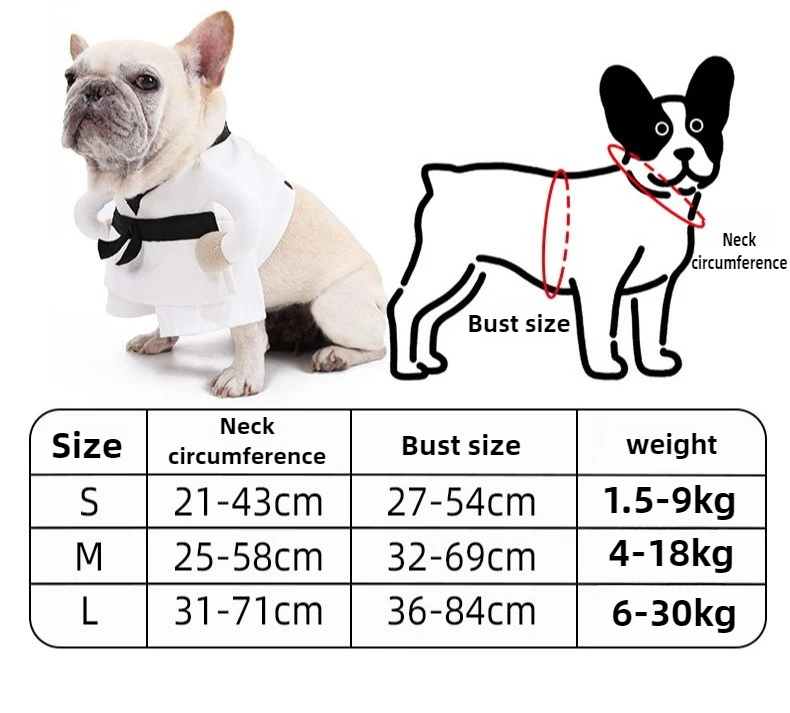 Artes marciales en pequeño perro
