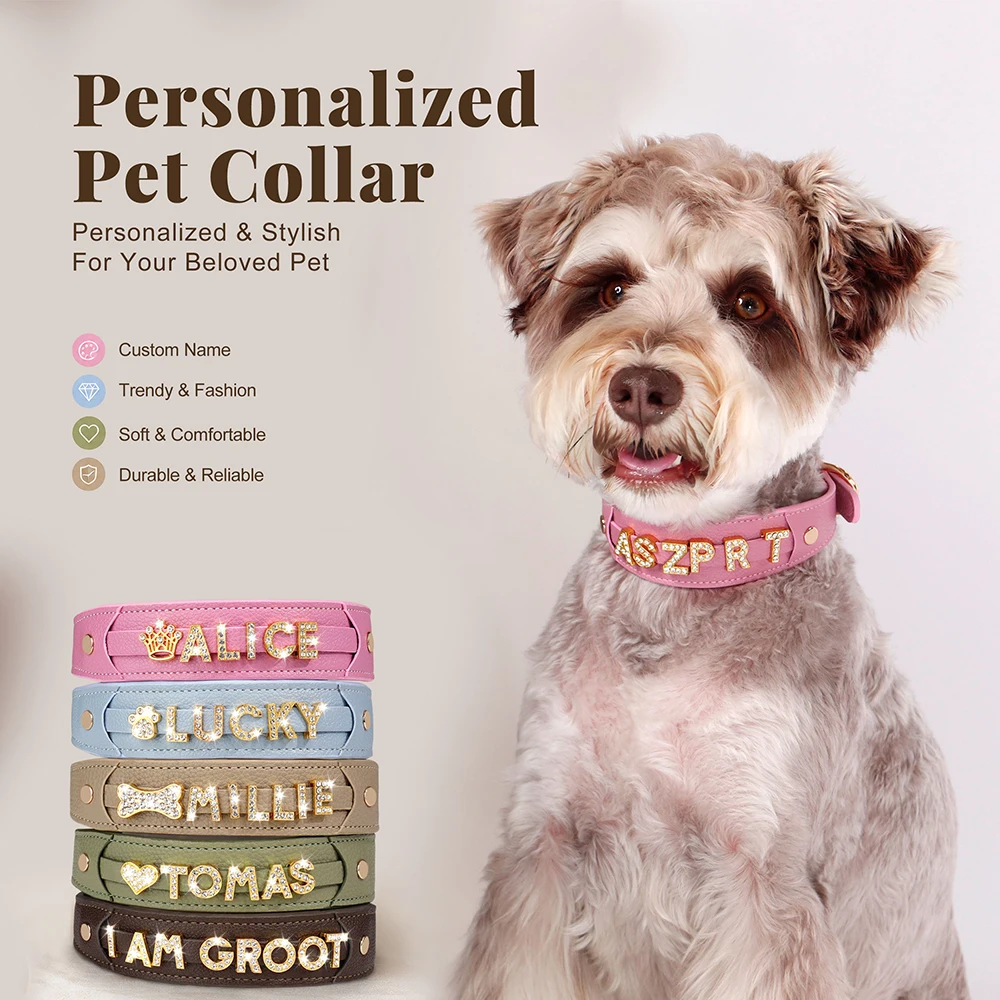 Collar personalizado para perro con nombre grabado
