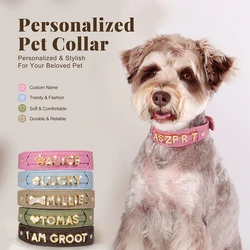 Collar personalizado para perro con nombre grabado
