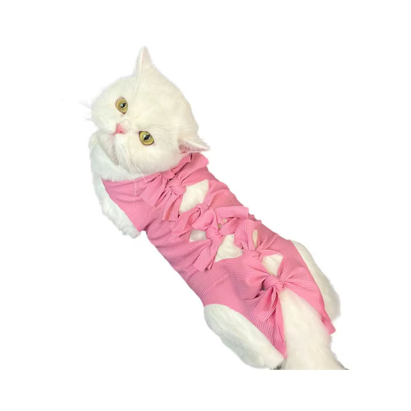 Traje de recuperación para gatos postcirugía: heridas, collar y cono - imagen 4