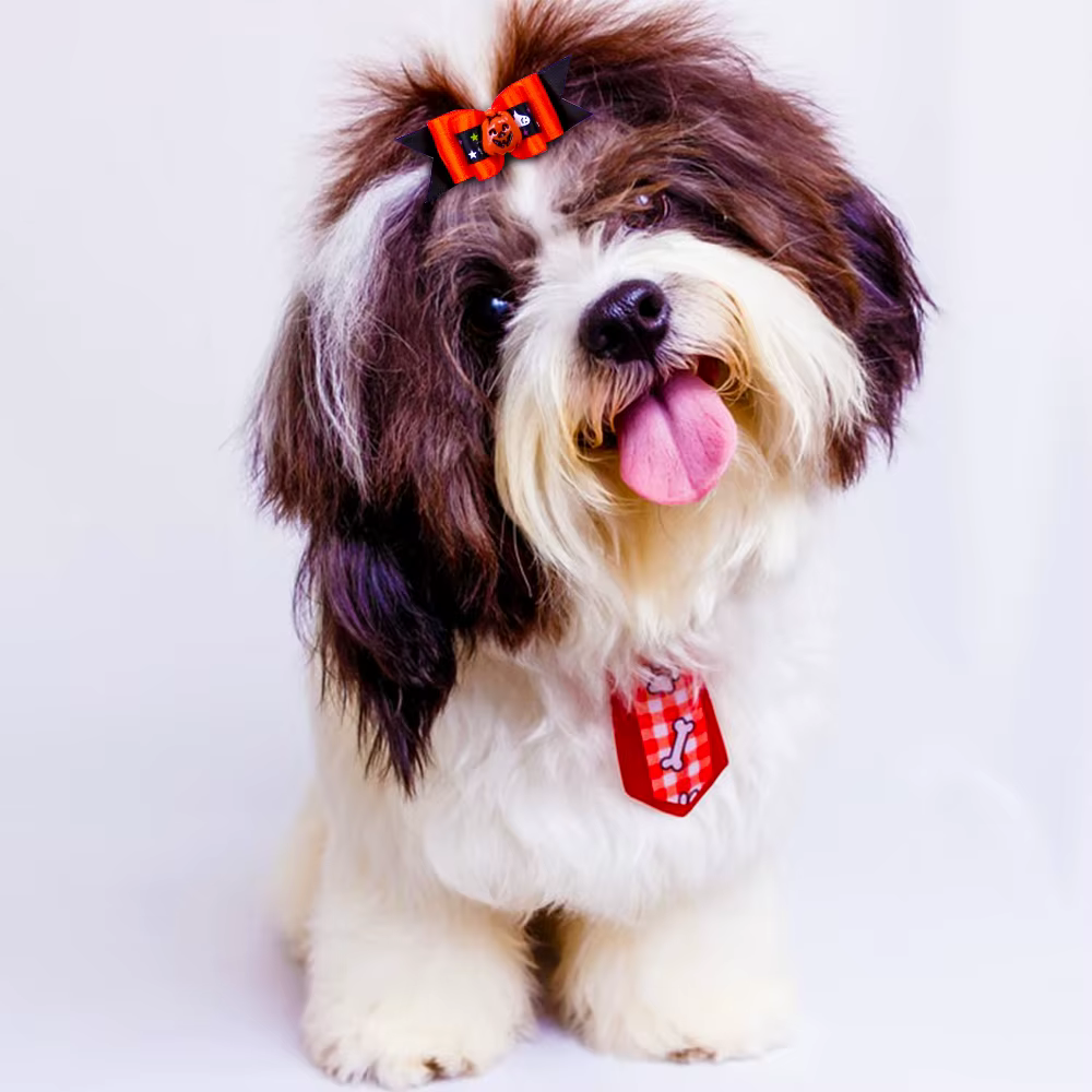 Lazos para perros pequeños Halloween con calavera y calabaza - imagen 5