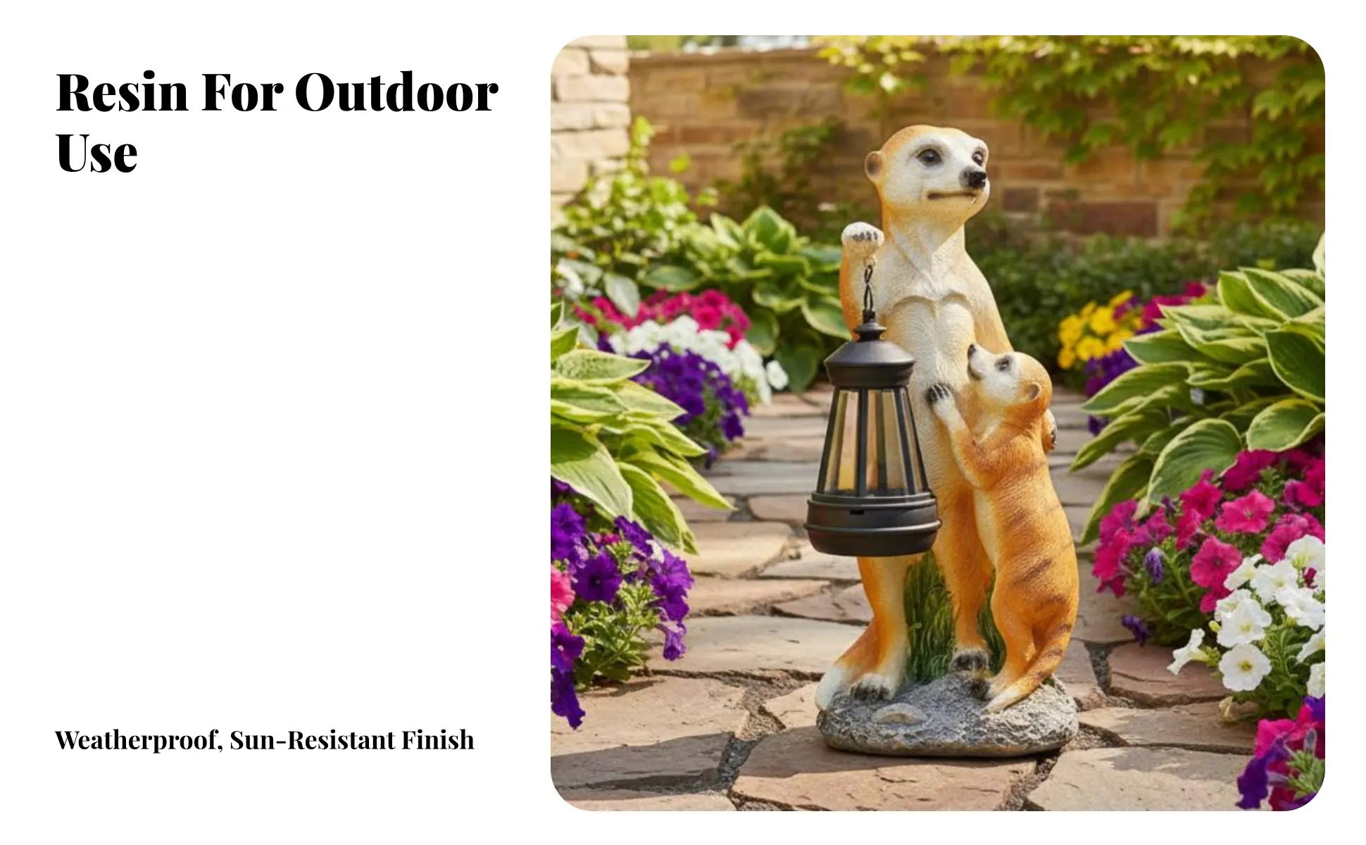 Meerkat decorativo al atardecer