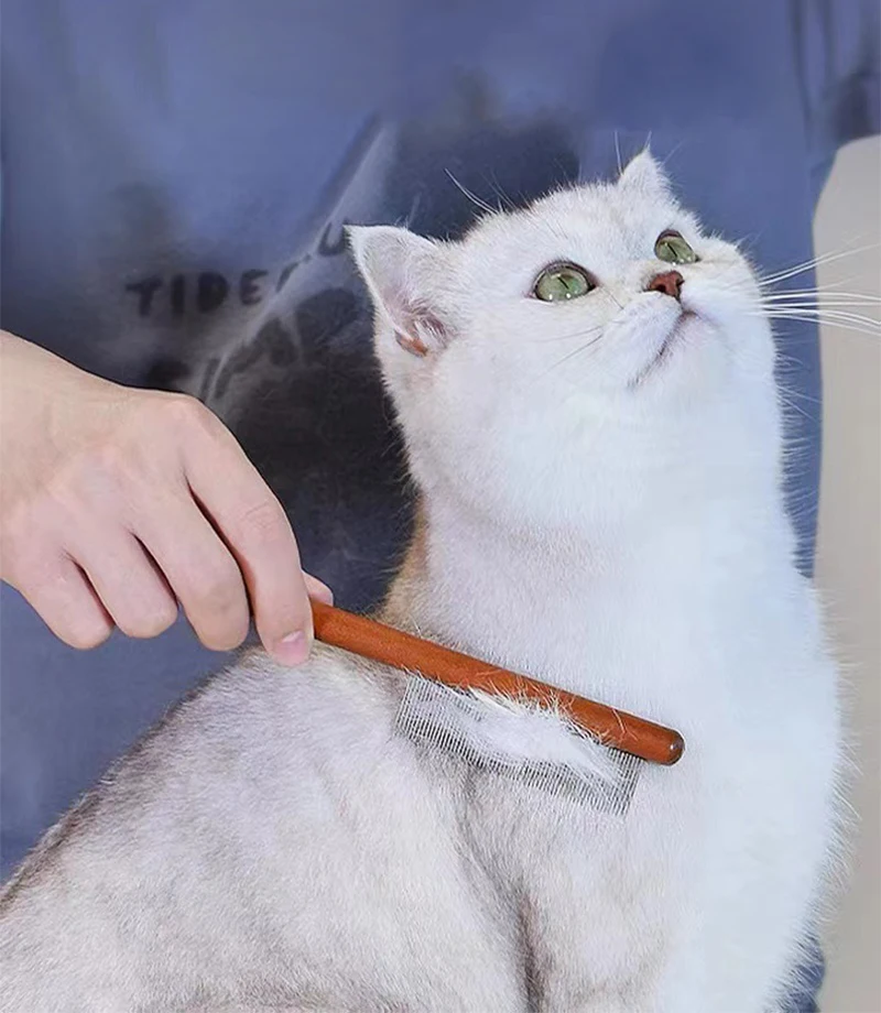 Ejemplo de peinado en gato