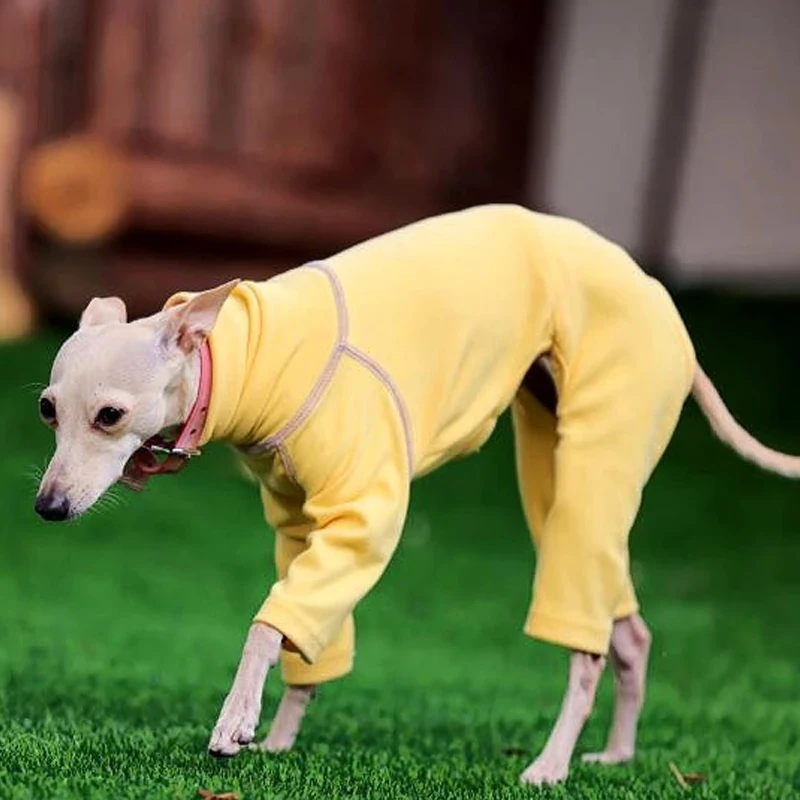 Abrigo de invierno para galgos