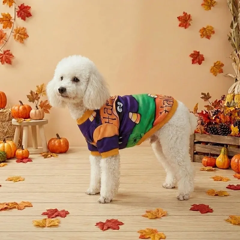 Camiseta Halloween para perros y gatos – Diseño monstruo y araña - imagen 4