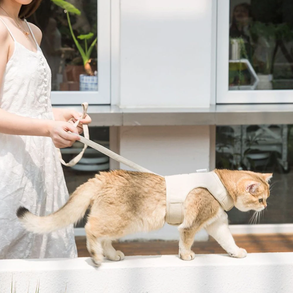 Arnés antirrotura y correa de paseo para gatos y perros - imagen 5
