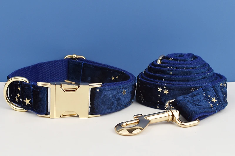 Conjunto completo puesto en perro mediano