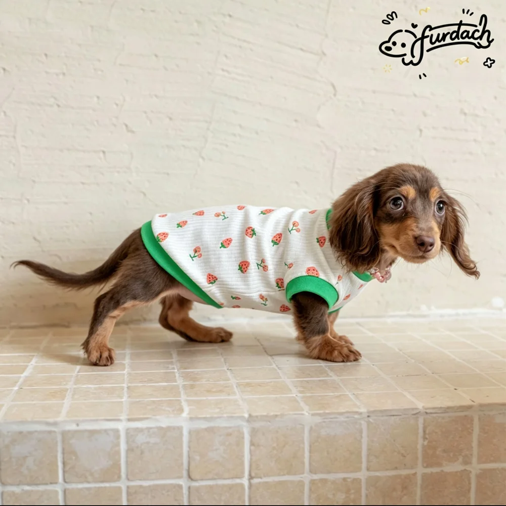 Camiseta chaleco sin mangas con fresas para perros salchicha