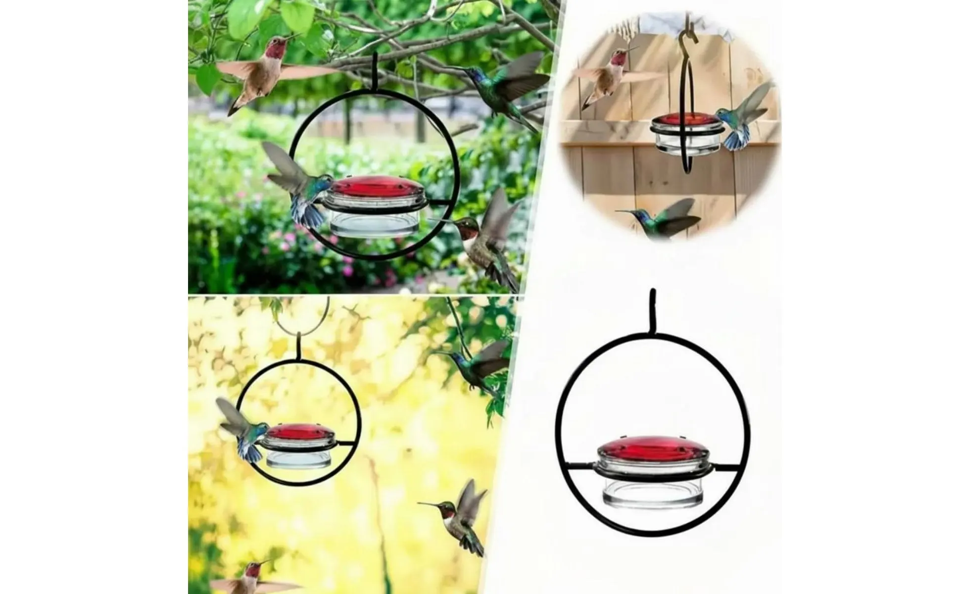 Cuencos transparentes extraíbles para facilitar la limpieza