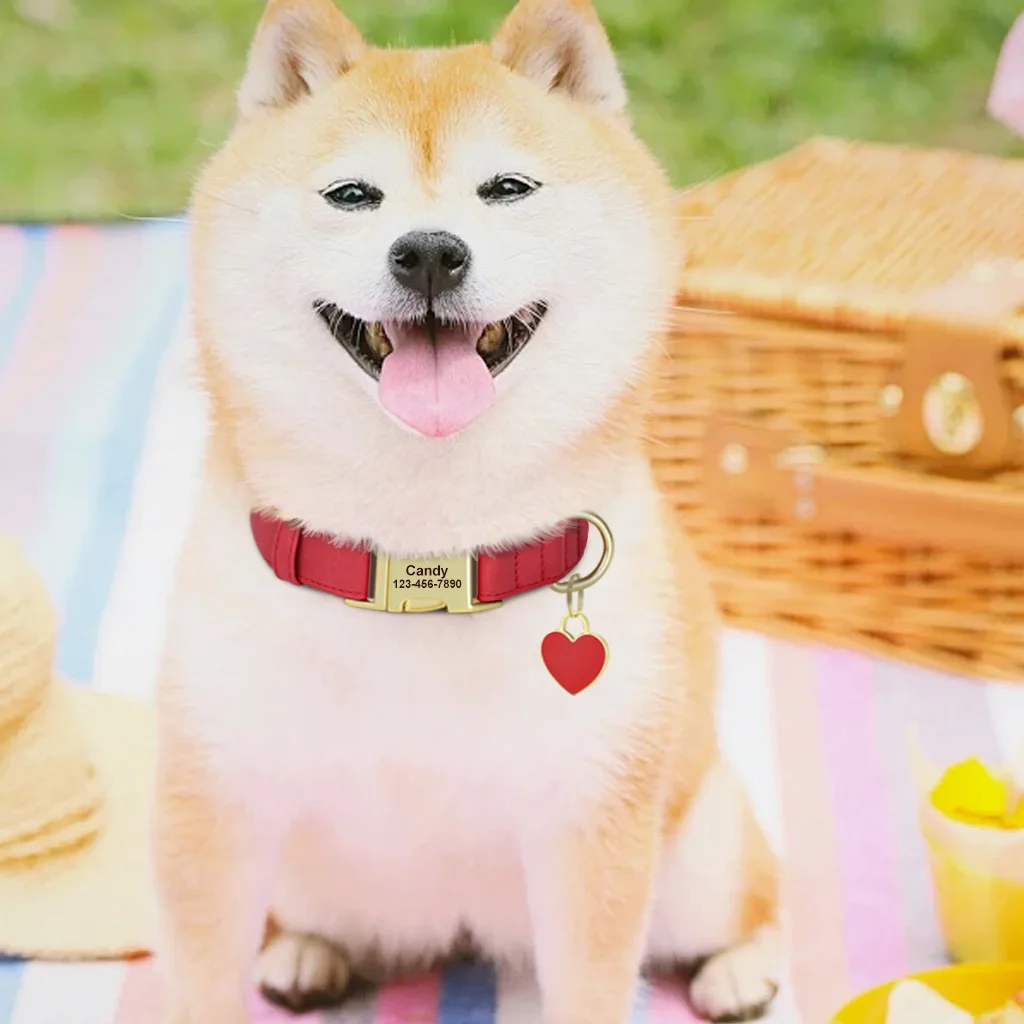 Collar de perro personalizado con colgante corazón y nombre grabado