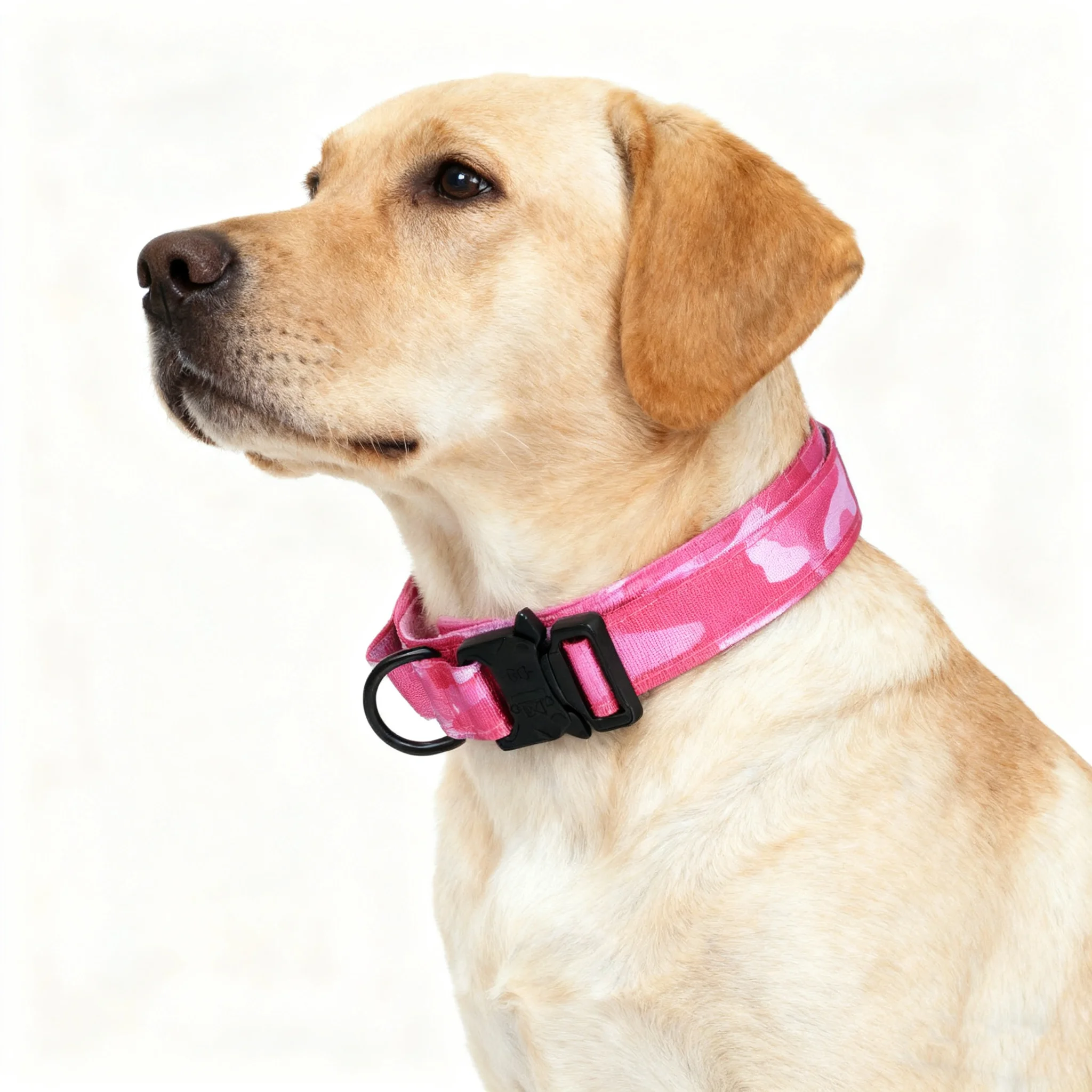 Vista frontal del collar ajustable de nailon rosa
