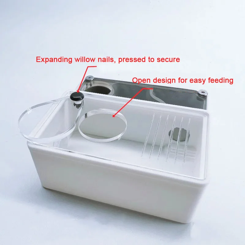 Vista frontal del nido con hormigas en el interior