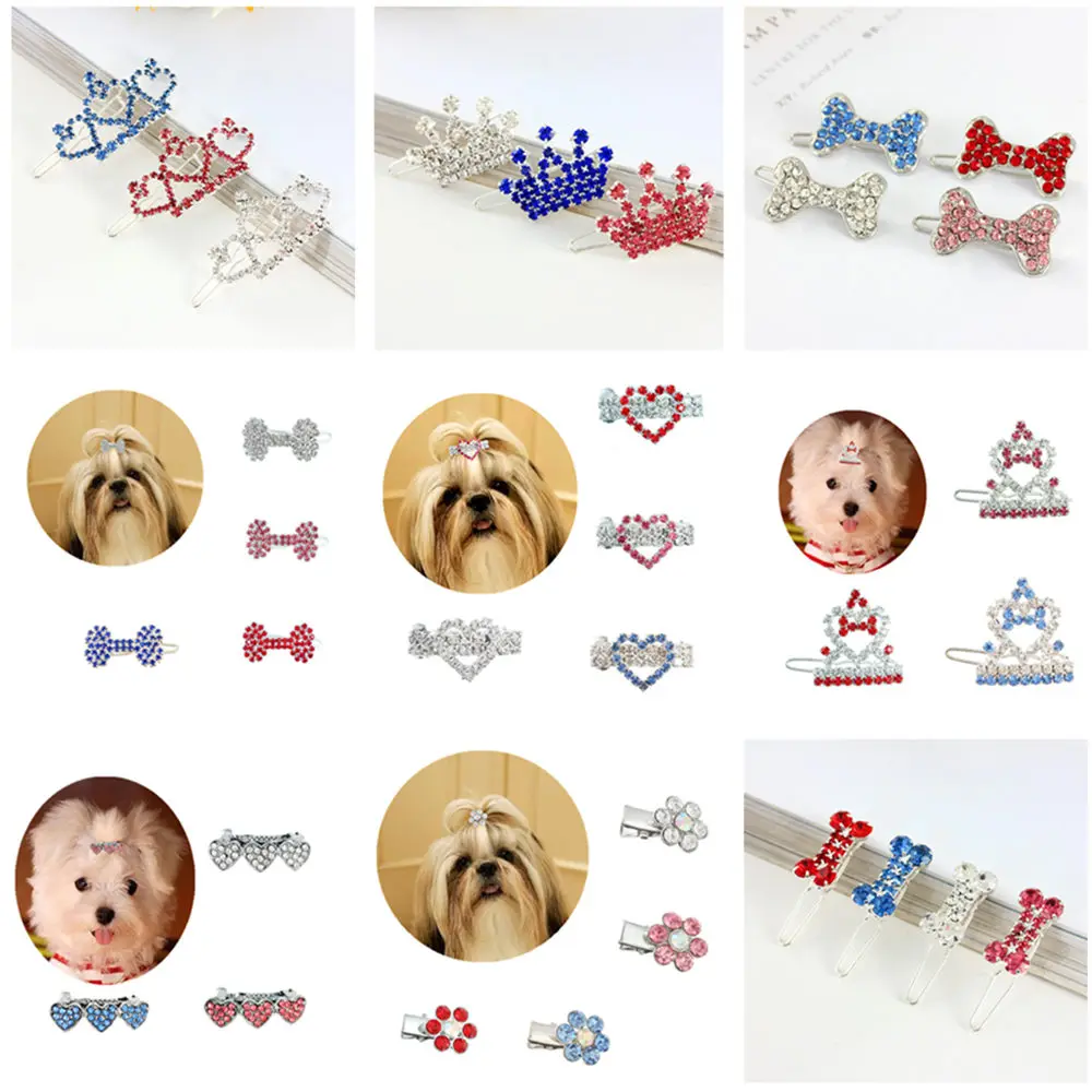 Conjunto ostentoso para peinado canino