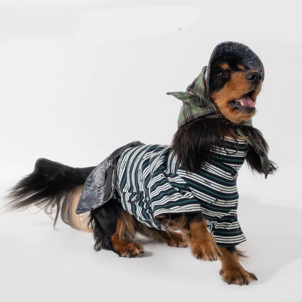Ropa para perros Dachshund: sombrero, bufanda y vaqueros grafiti - imagen 3