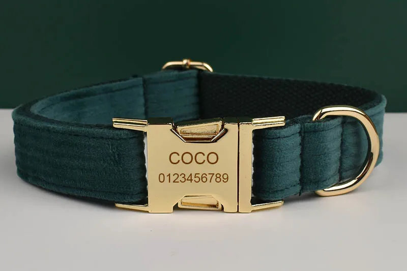 Set completo collar y correa verde