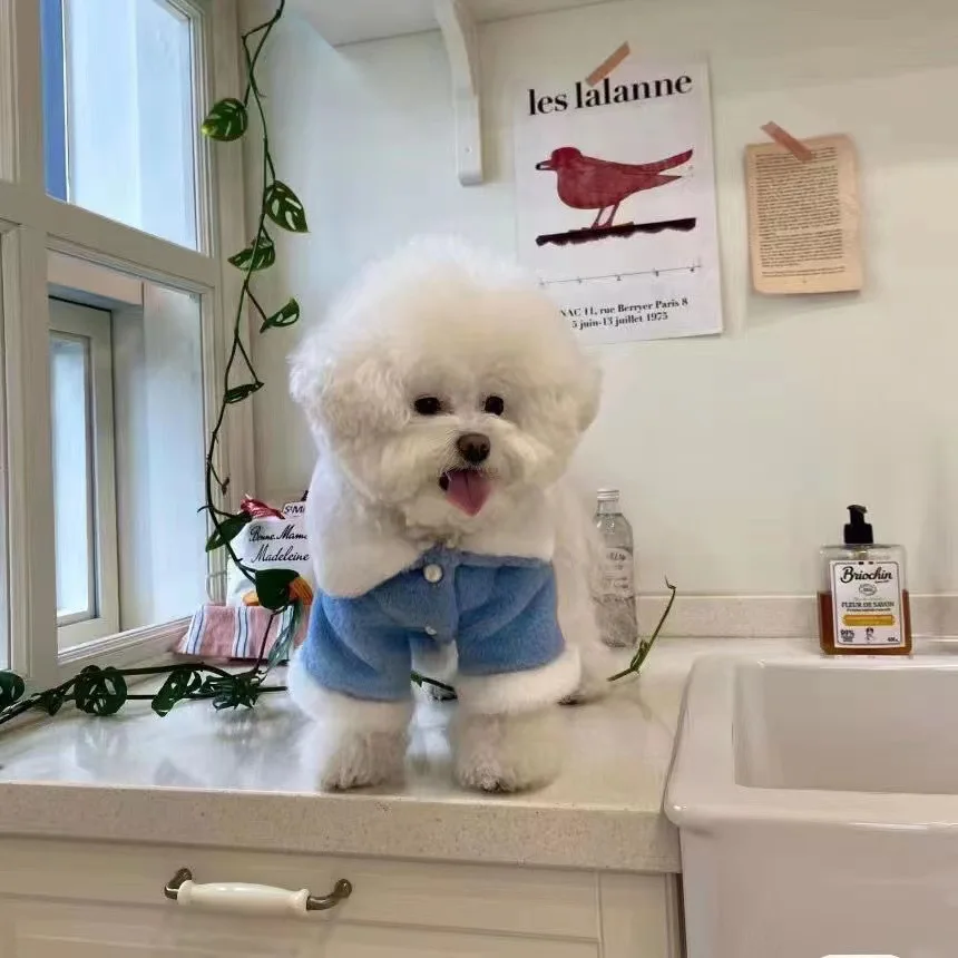 Ropa de invierno para mascotas