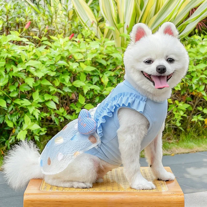 Vestido de verano para perro Chihuahua: ropa fresca con puntos - imagen 4