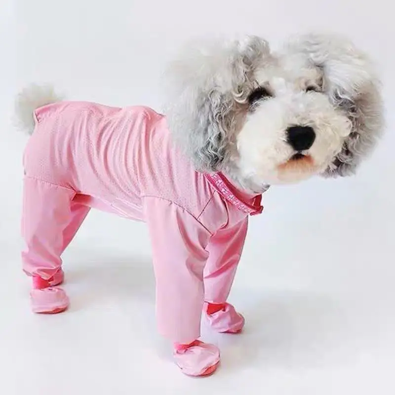Perro con traje antipolvo y antimosquitos