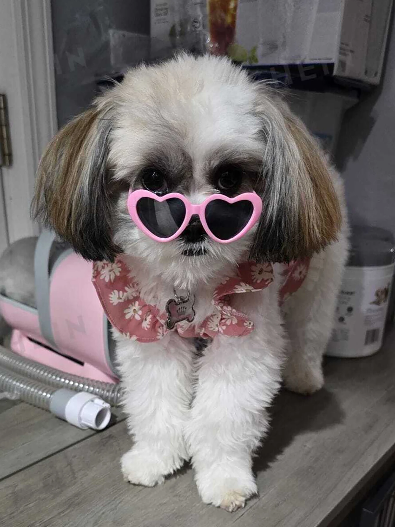 Gafas de sol corazón para mascotas en color rosa pastel