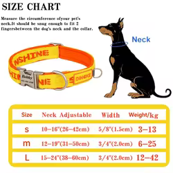 Collar y correa personalizados para perros Pug en nailon resistente