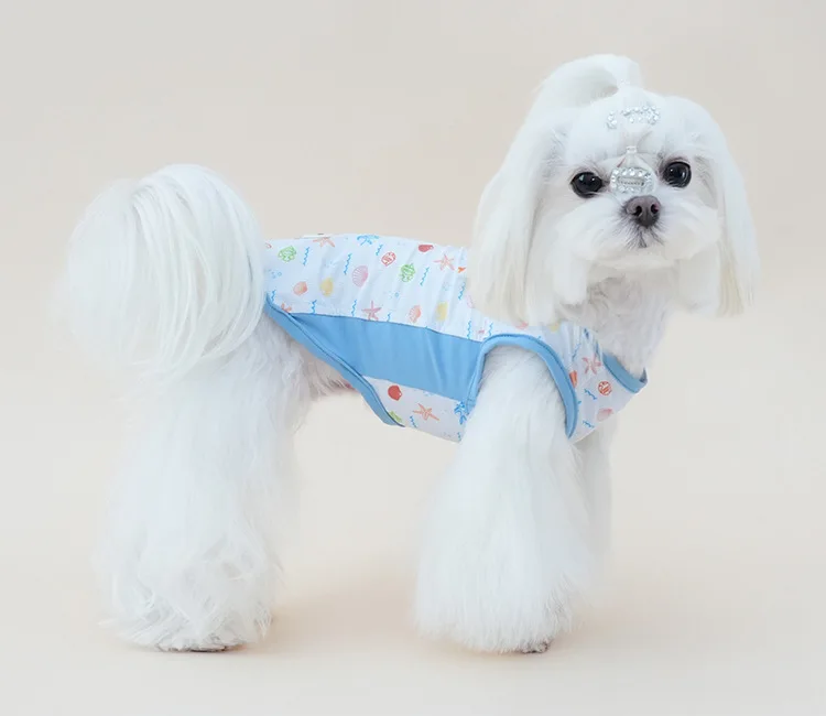 Perro con prenda ligera
