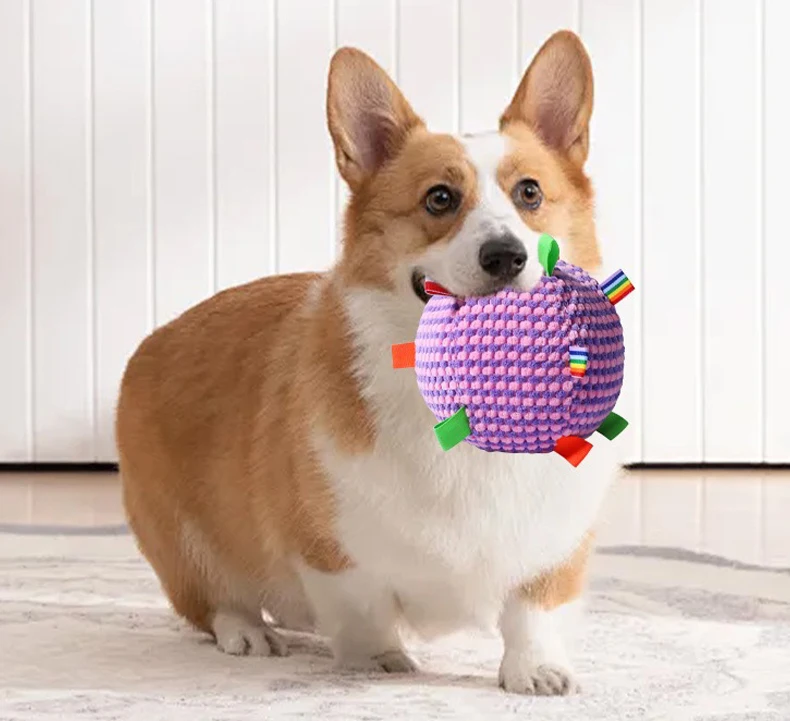 Cachorro jugando con el juguete pawstrip dentro de casa