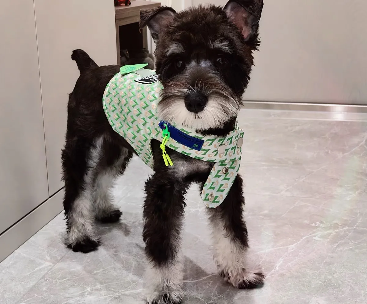 Ejemplo de medición en perro pequeño