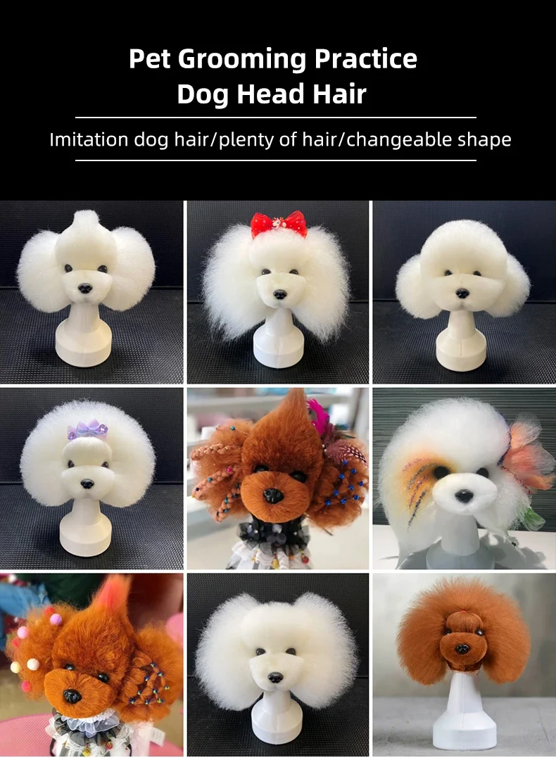 Cabeza de perro para prácticas de peluquería