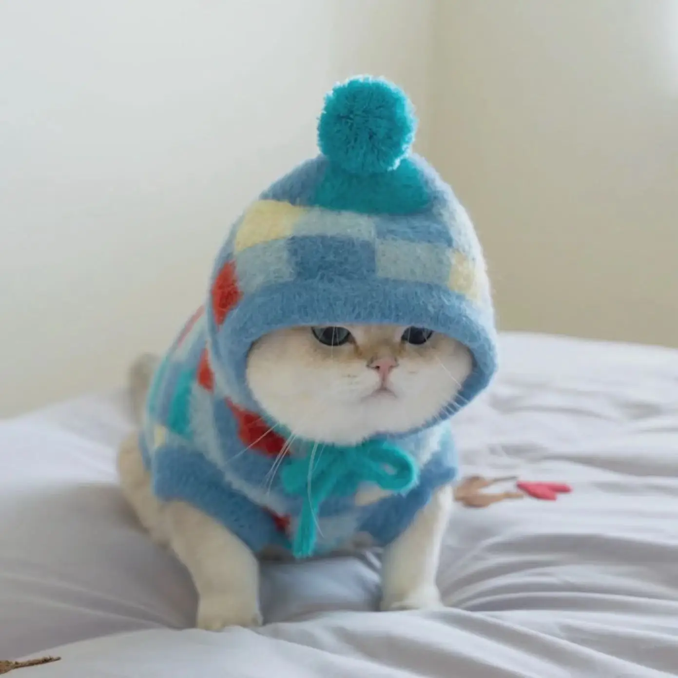 Suéter a cuadros con capucha para perros y gatos – Prenda otoño e invierno - imagen 5