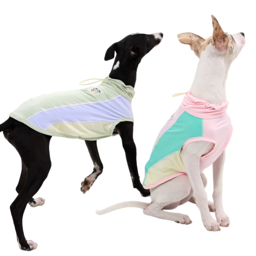 Chaleco solar para perros Italian Greyhound – Ultraligero y transpirable - imagen 3