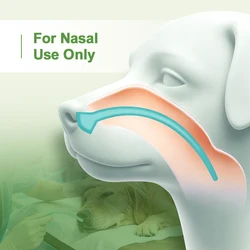 Cánula Nasofaríngea Veterinaria para Perros y Gatos – PVC Grado Médico