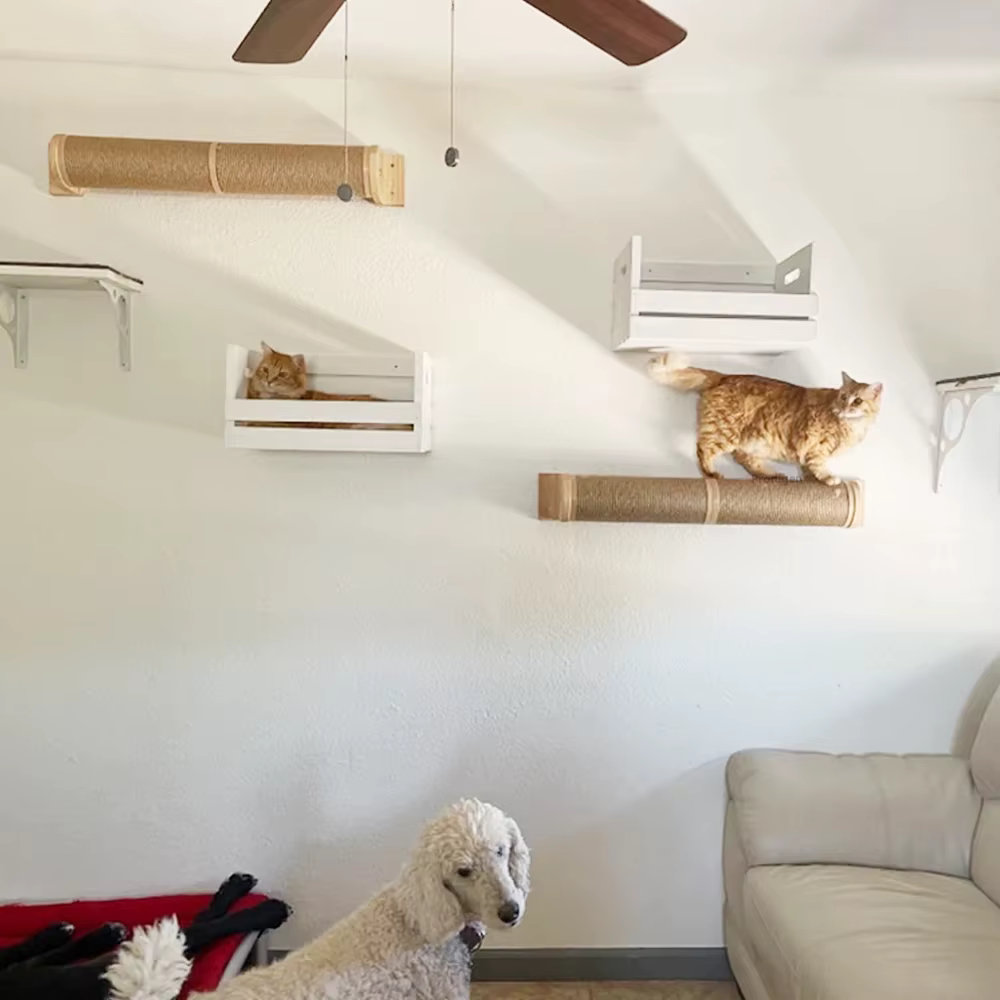 Gatosconperros estructura de escalada para gatos en pared con cuatro escalones