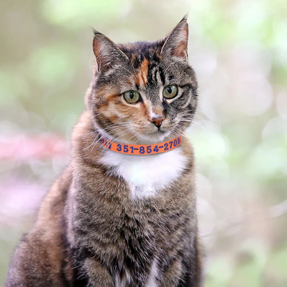 Collar seguridad gato con campana – Bordado personalizado - imagen 4