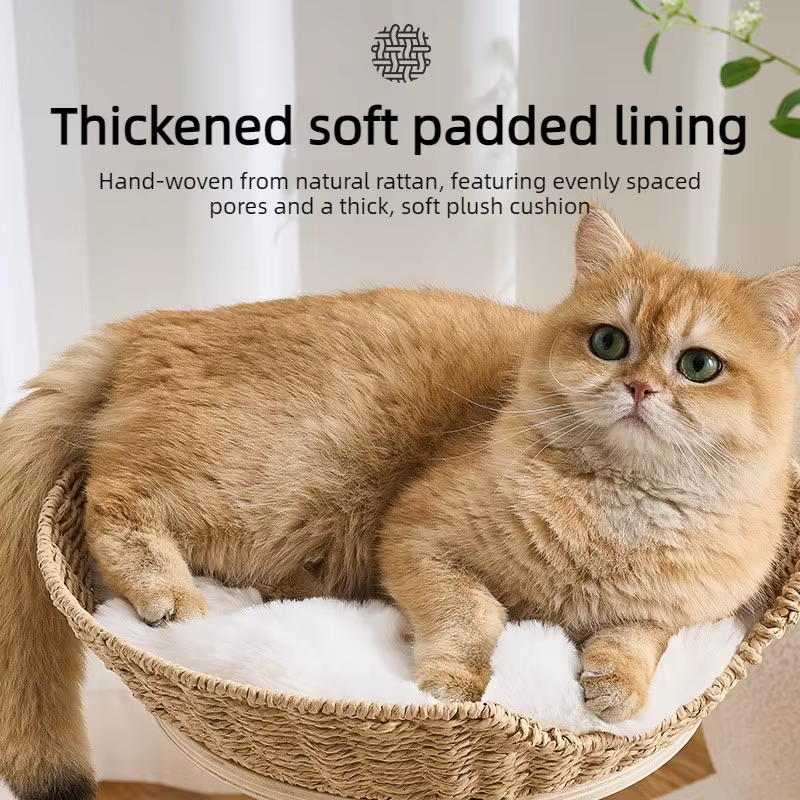 Árbol rascador para gatos interior con sisal, cama de ratán y múltiples niveles - imagen 5
