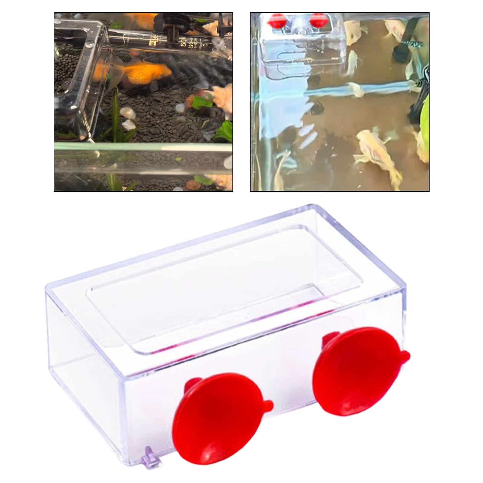 Comedero anillo flotante para peces y tortugas – Acuario - imagen 2