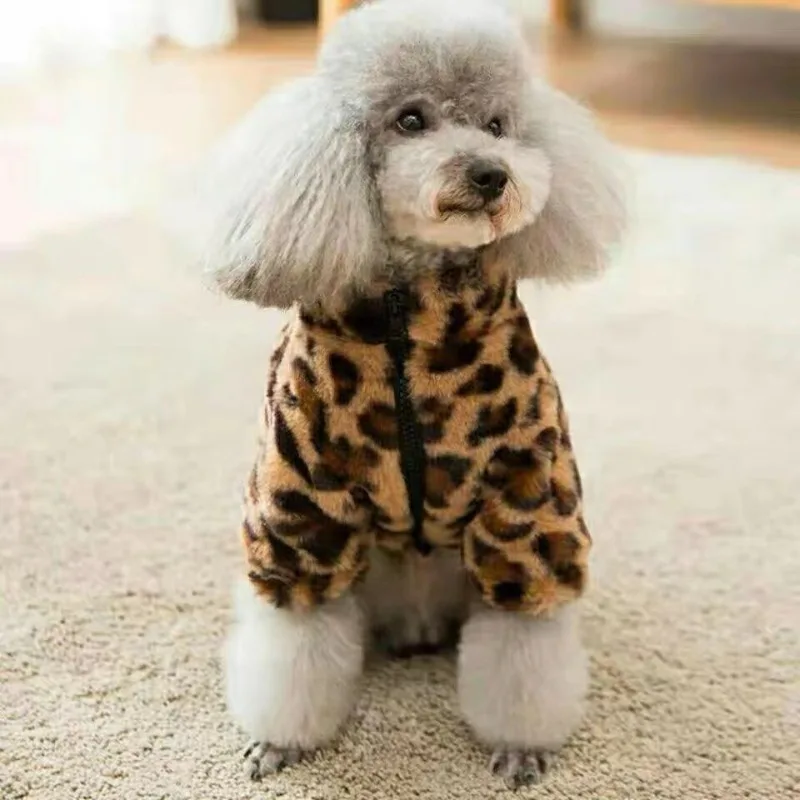Ropa de invierno para perros - gatito
