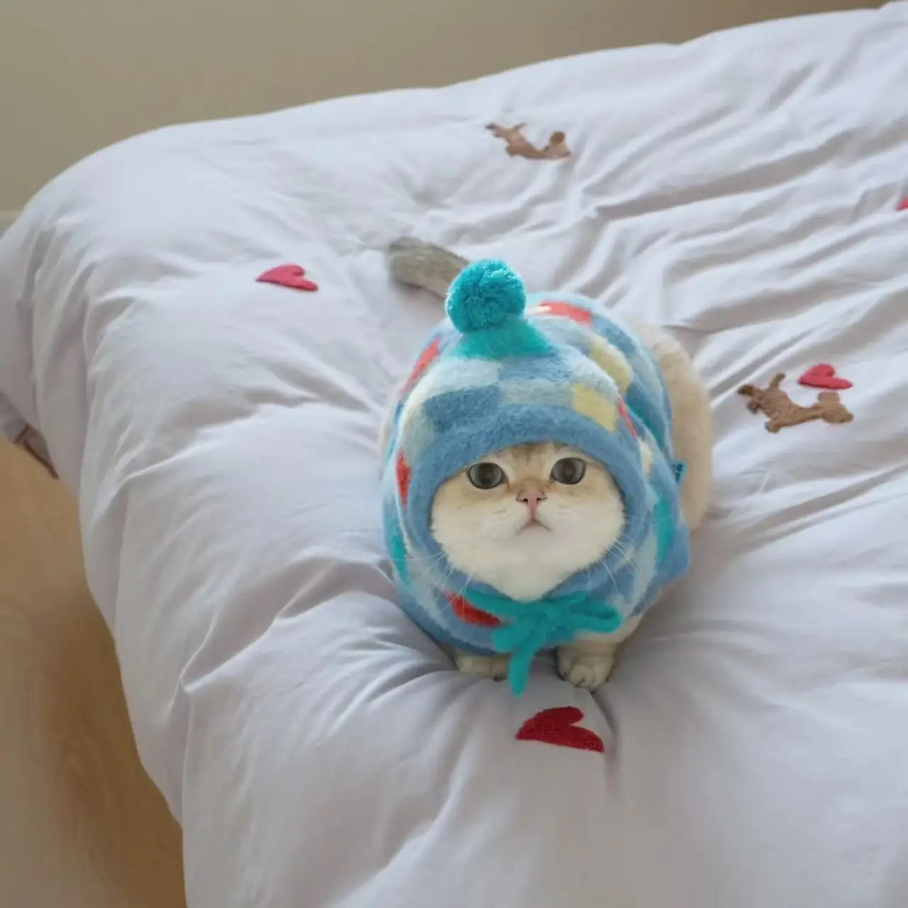 Suéter a cuadros con capucha para perros y gatos – Prenda otoño e invierno - imagen 4